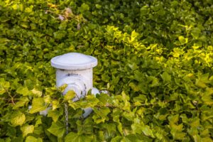 Lindungi Aset Bisnis Tuban dengan Pompa Hydrant Andalan