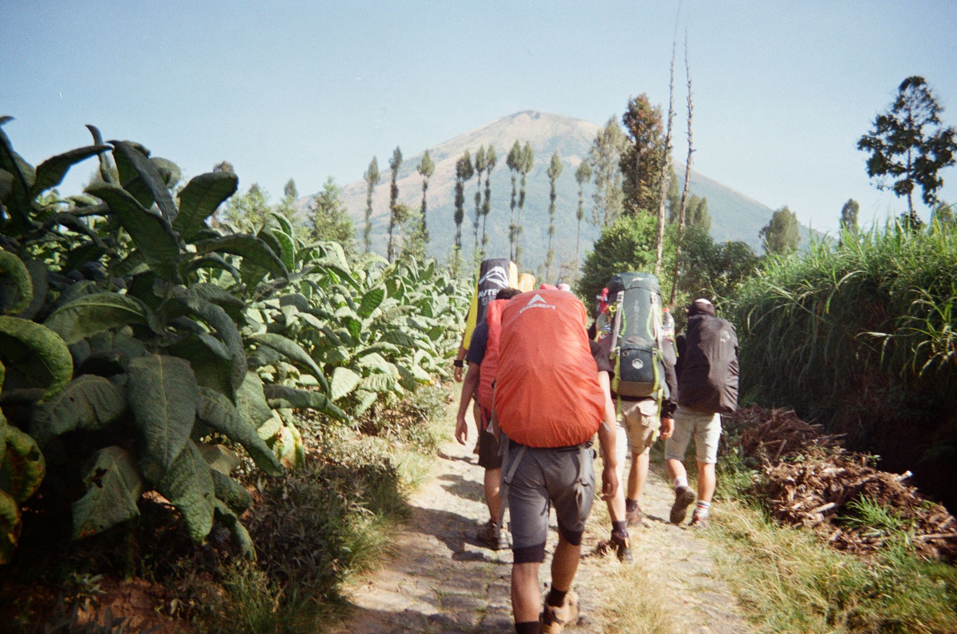 pompa wilo temanggung