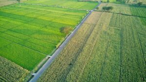 Pompa Grundfos Blitar Hemat Biaya Operasional, Kualitas Tetap Premium