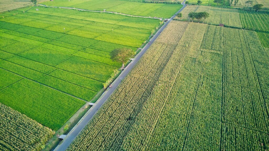 pompa wilo blitar