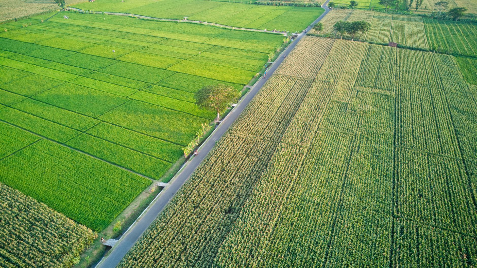 pompa wilo blitar