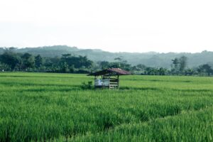 Alasan Developer Kuningan Andalkan Pompa Grundfos Bergaransi Resmi