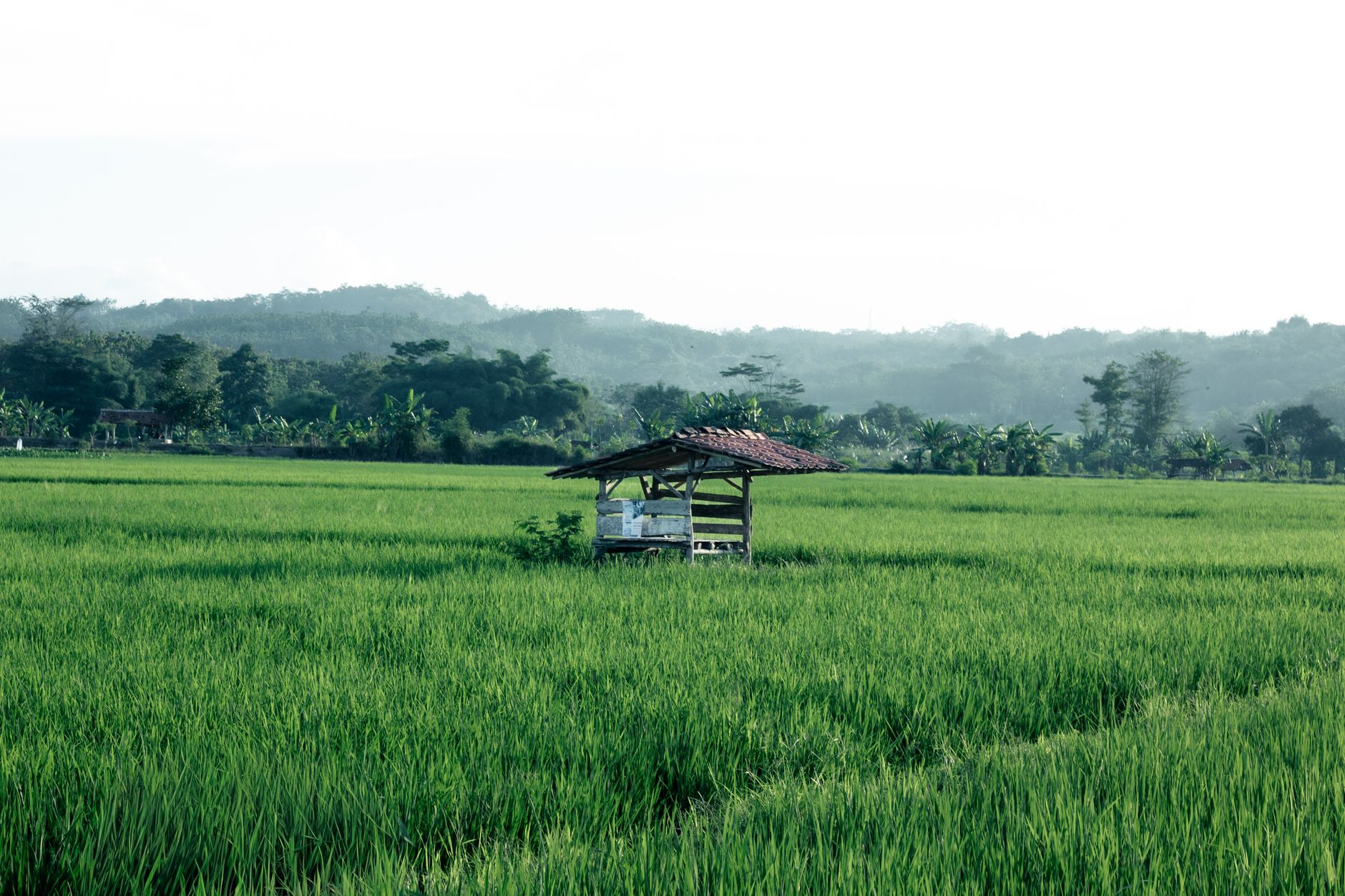 Alasan Developer Kuningan Andalkan Pompa Grundfos Bergaransi Resmi