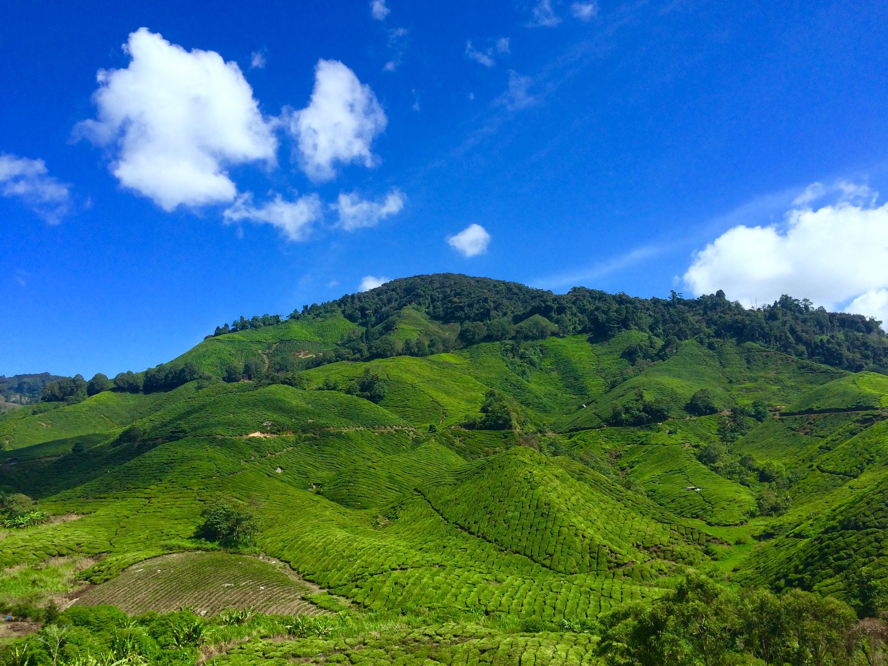 pompa wilo tanah datar