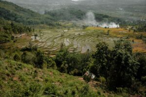 pompa wilo solok