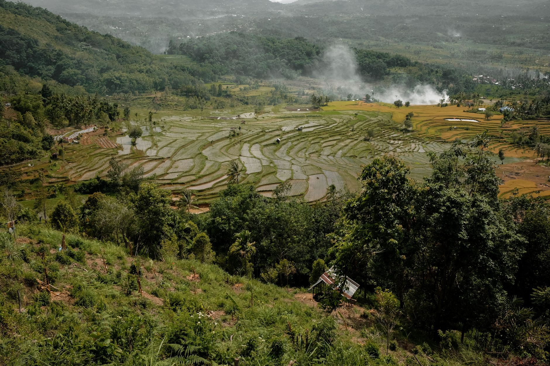 pompa wilo solok